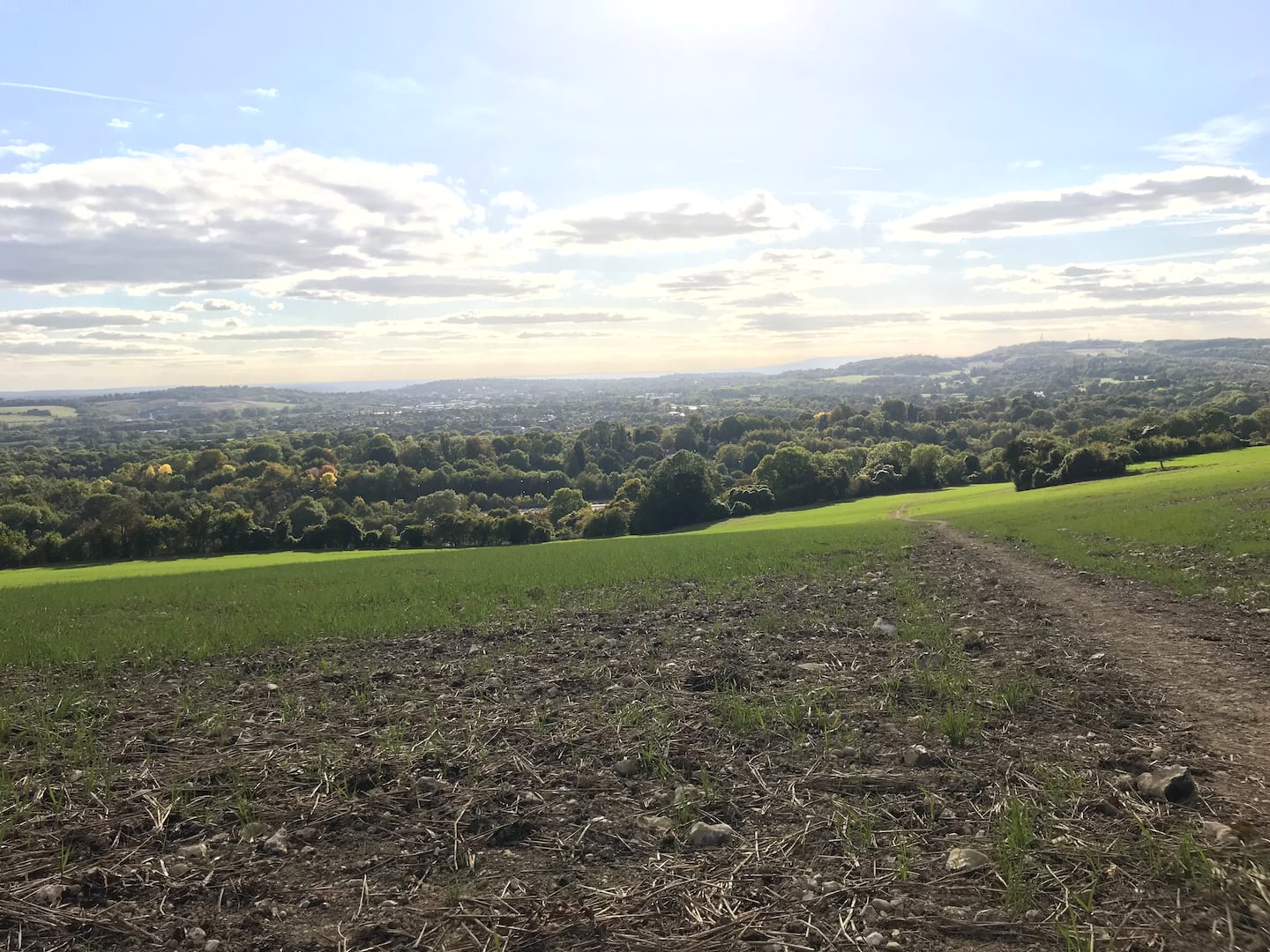 North Downs Way Hannah Stock