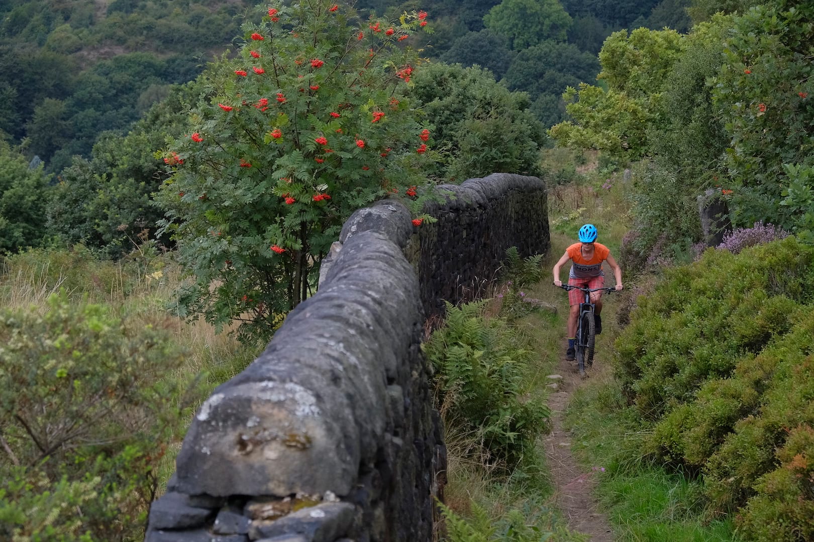 specialized stumpjumper st