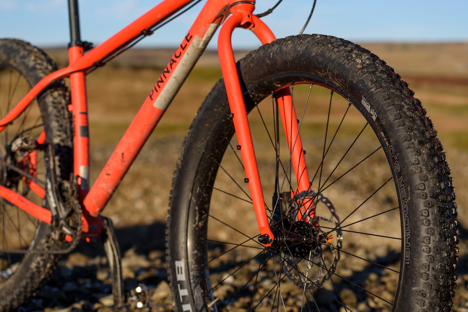 unsprung heroes rigid bike test pinnacle ramin 3