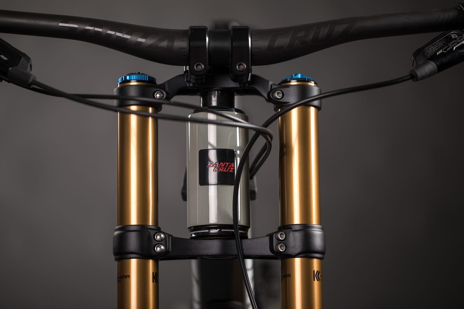 santa cruz v10 carbon