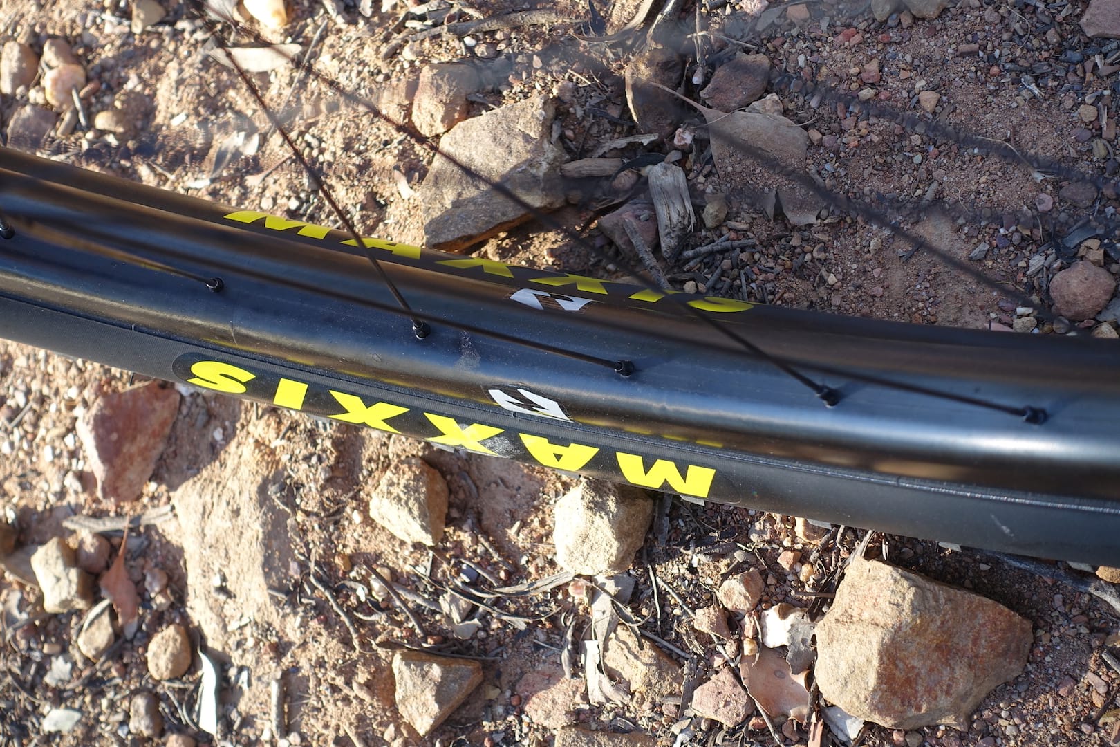 reynolds carbon rim