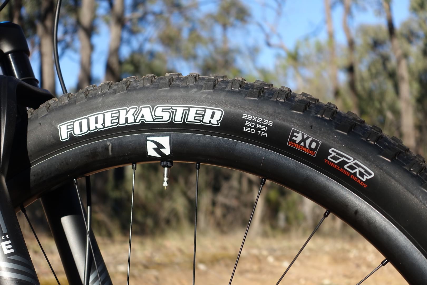canyon neuron maxxis forekaster