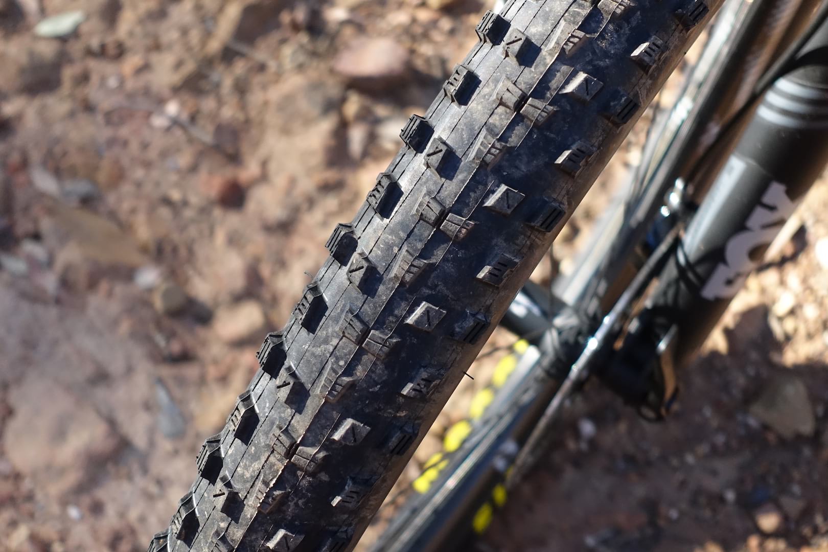 canyon neuron maxxis forekaster