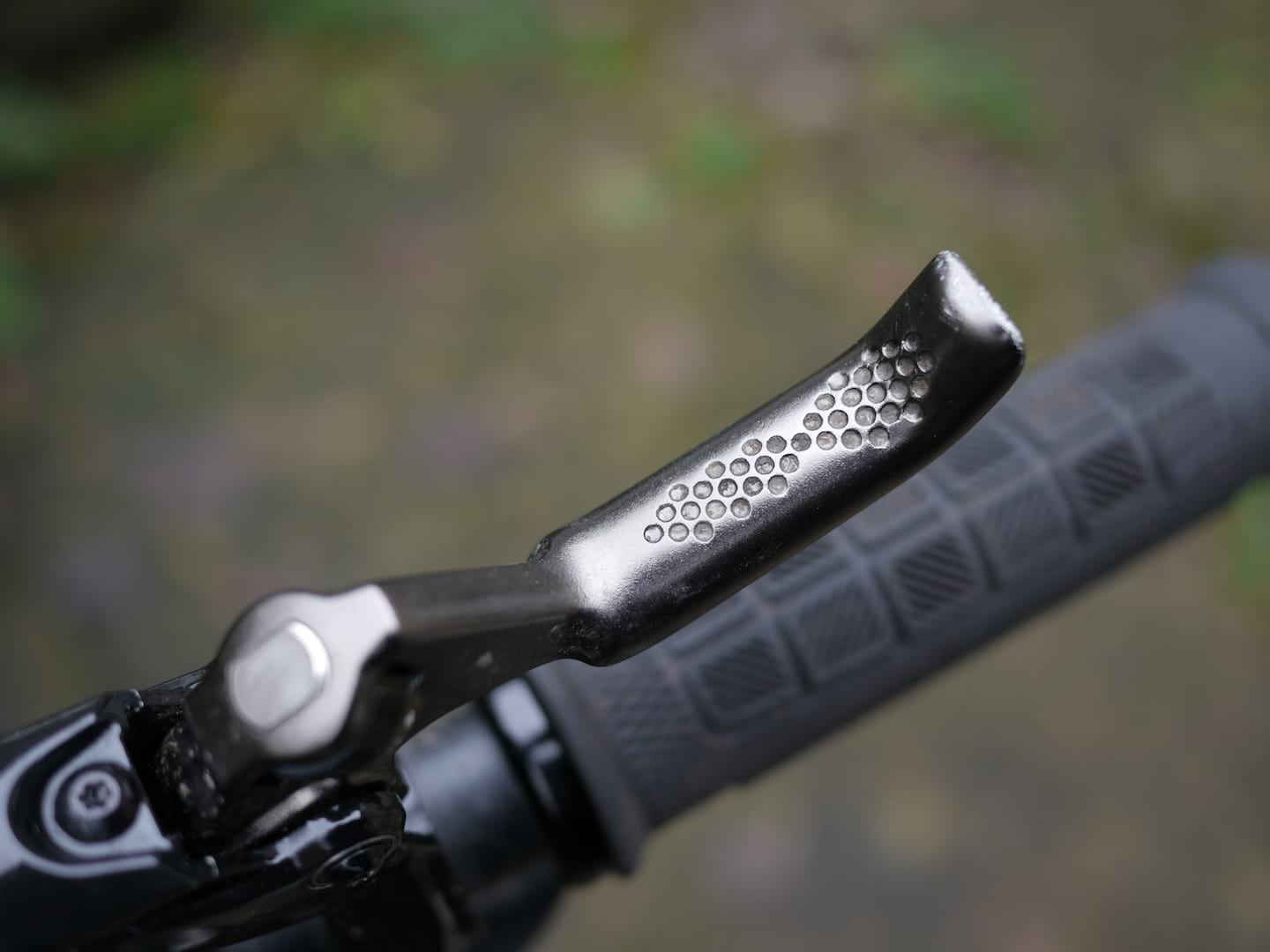 hayes dominion disc brake