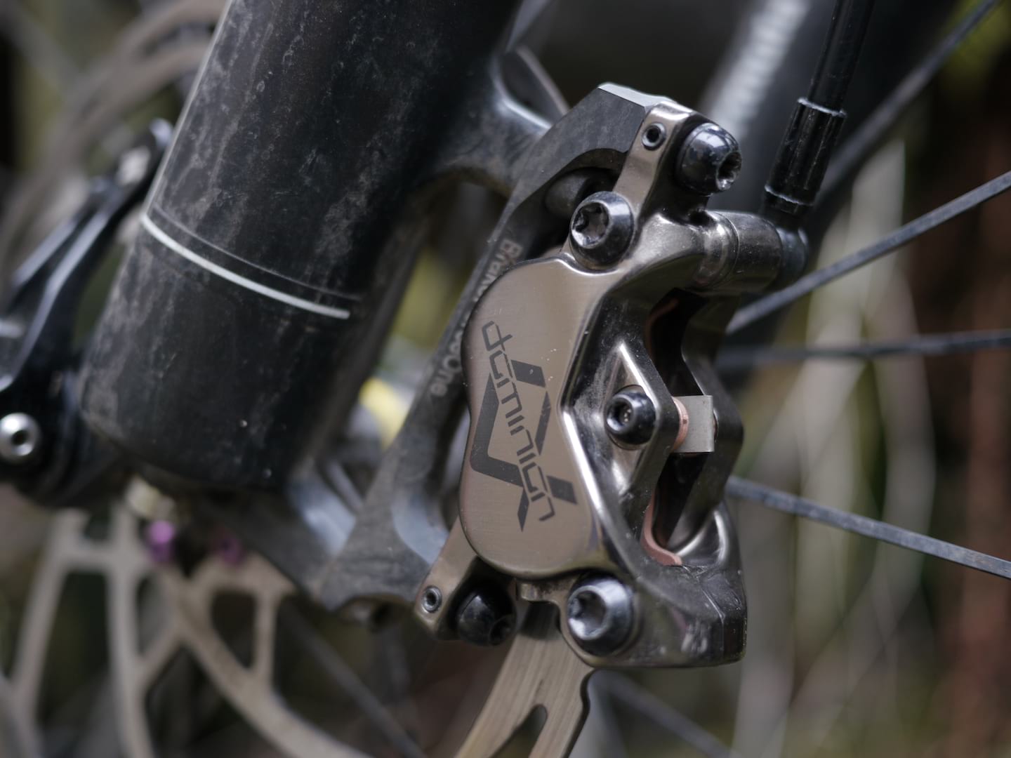 hayes dominion disc brake