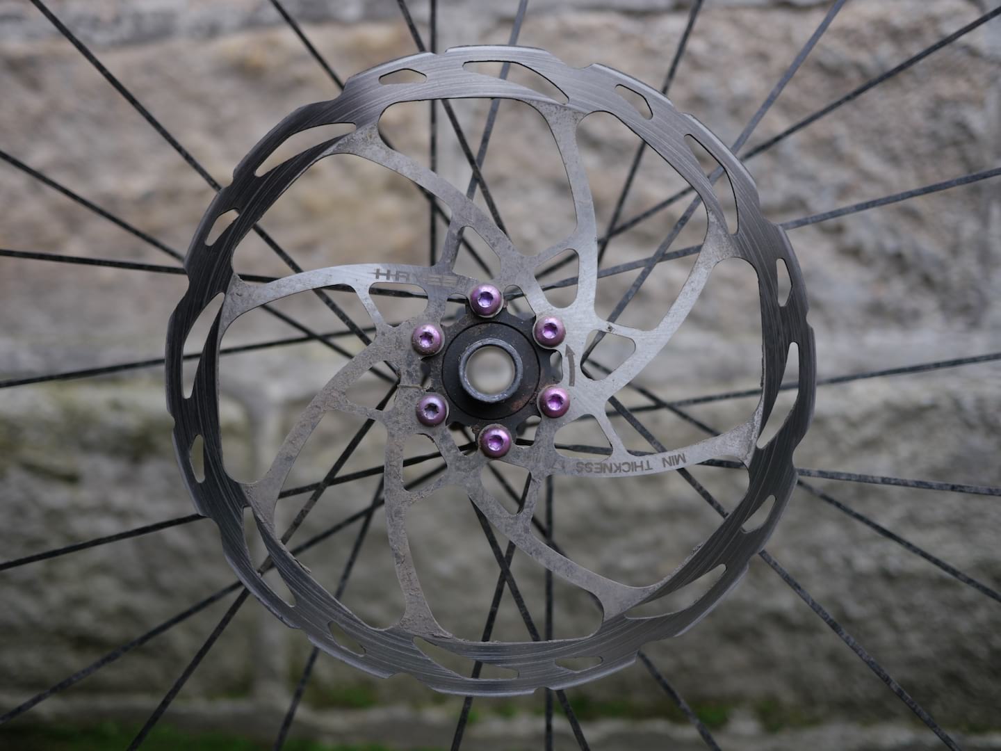 hayes dominion disc brake rotor