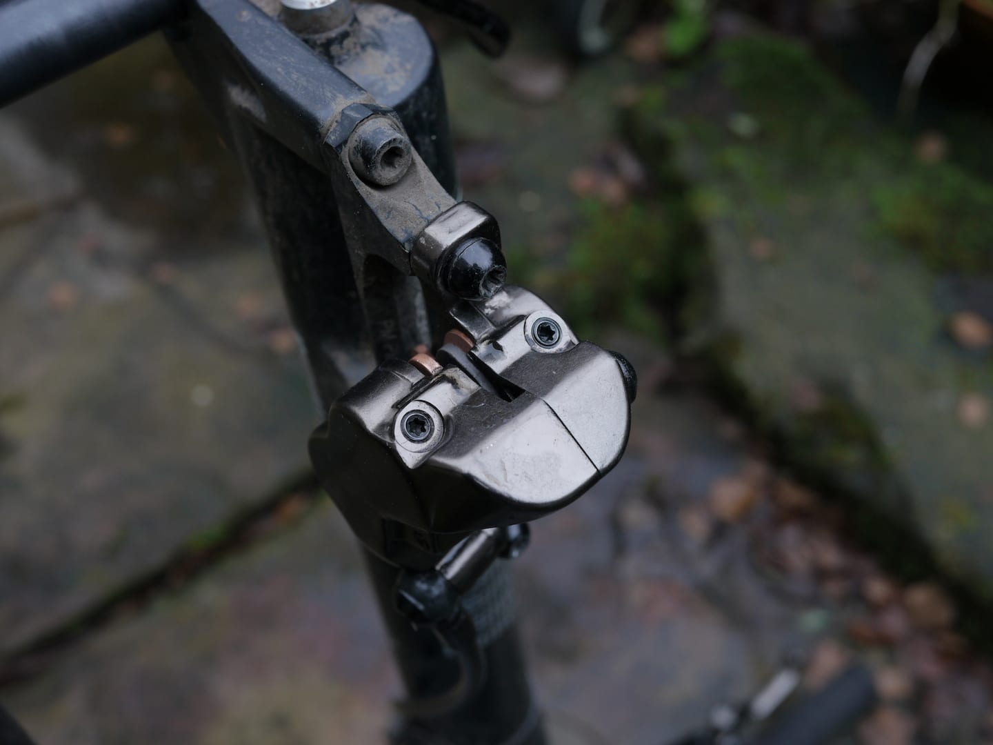 hayes dominion disc brake