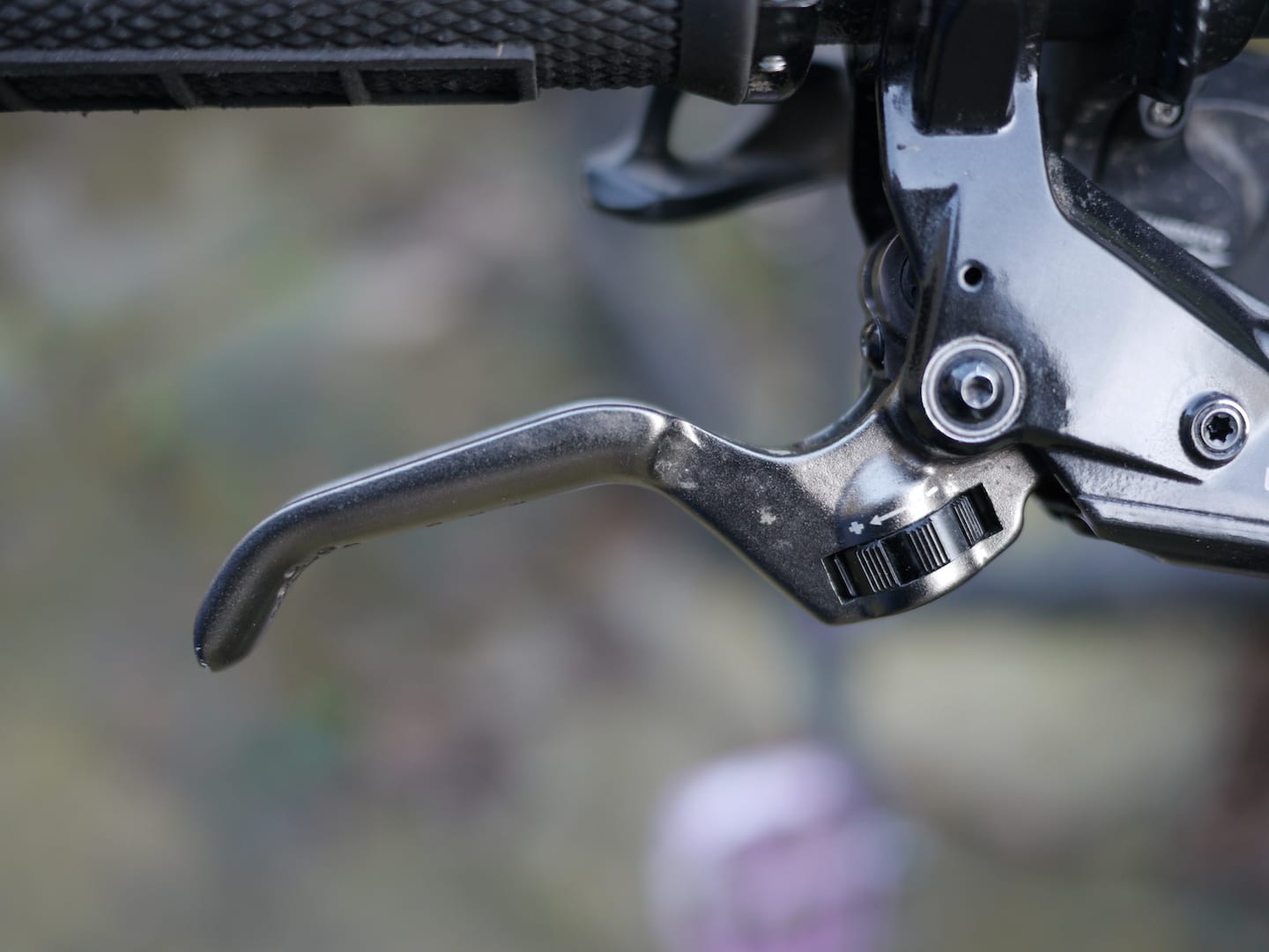 hayes dominion disc brake