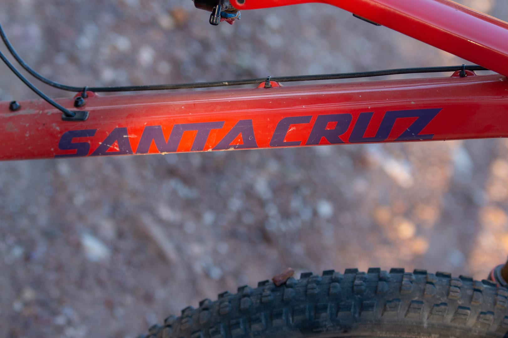 santa cruz blur