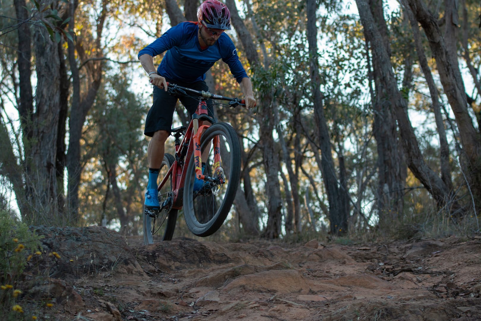 santa cruz blur fox 34 step-cast