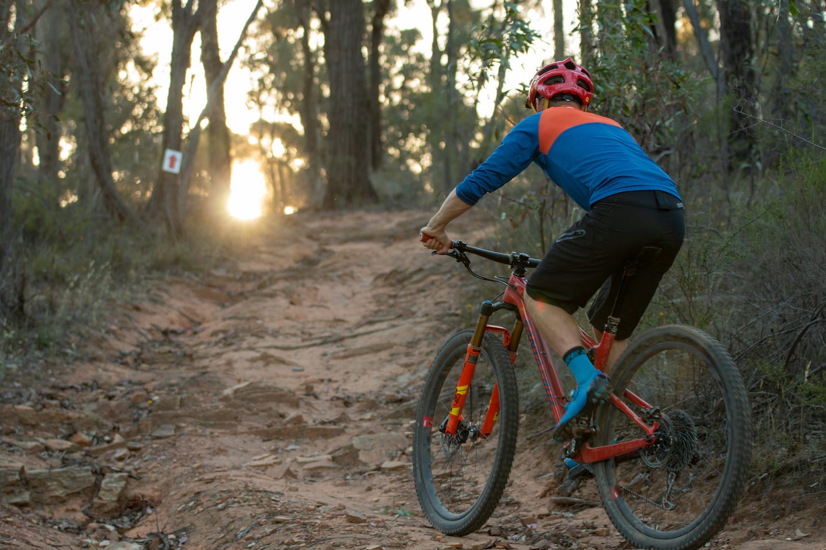santa cruz blur wil