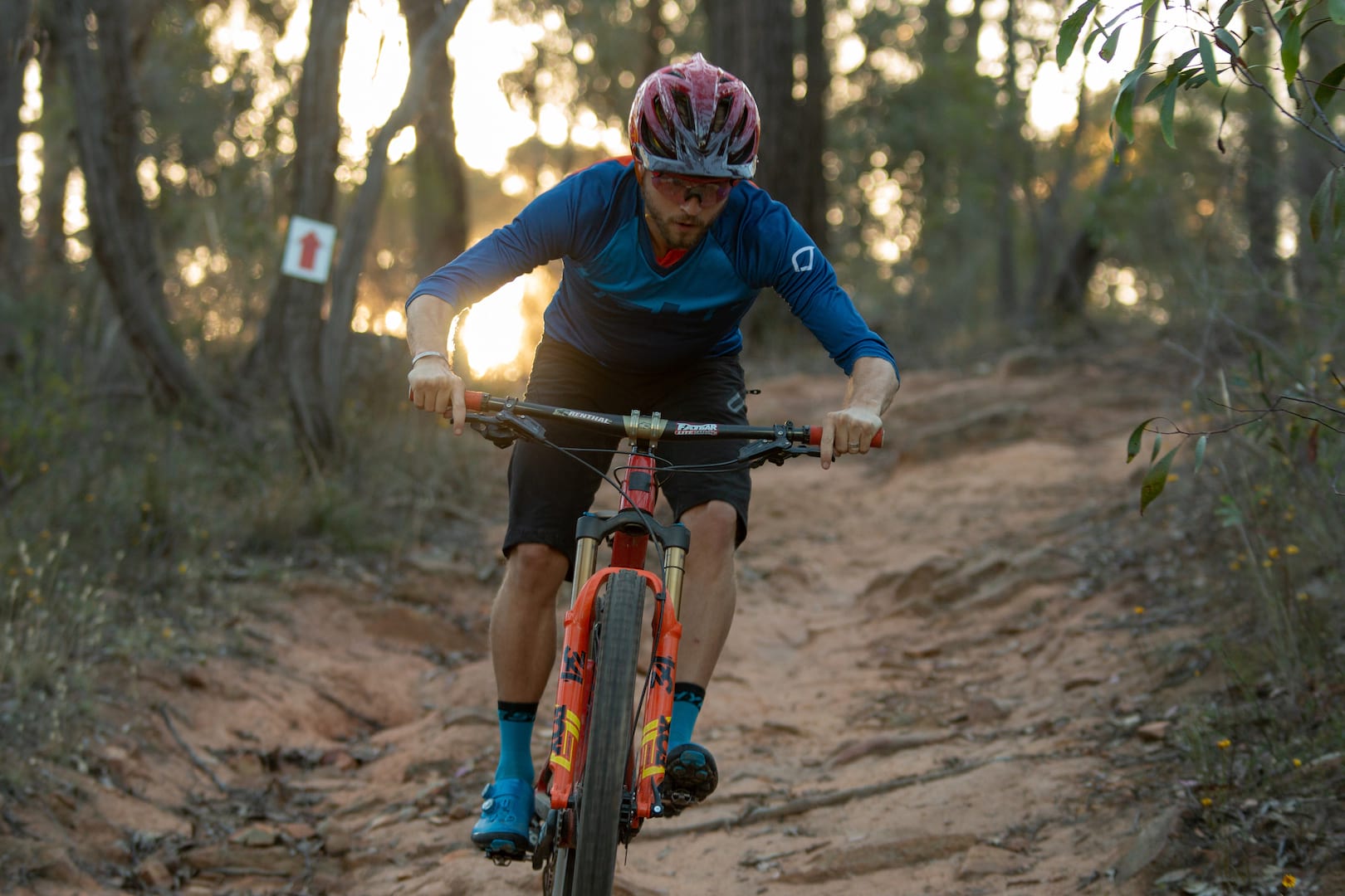 santa cruz blur fox 34 step-cast wil