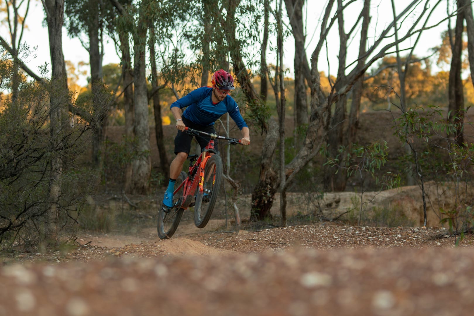 santa cruz blur fox 34 step-cast wil
