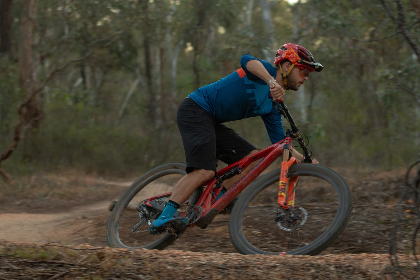 santa cruz blur fox 34 step-cast wil