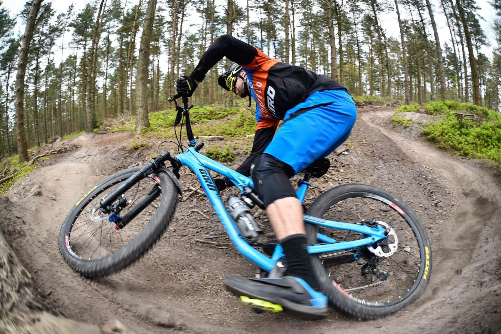 Bird Cycleworks Pumps Up Aeris 120 Trail Bike With New ‘LT’ Option