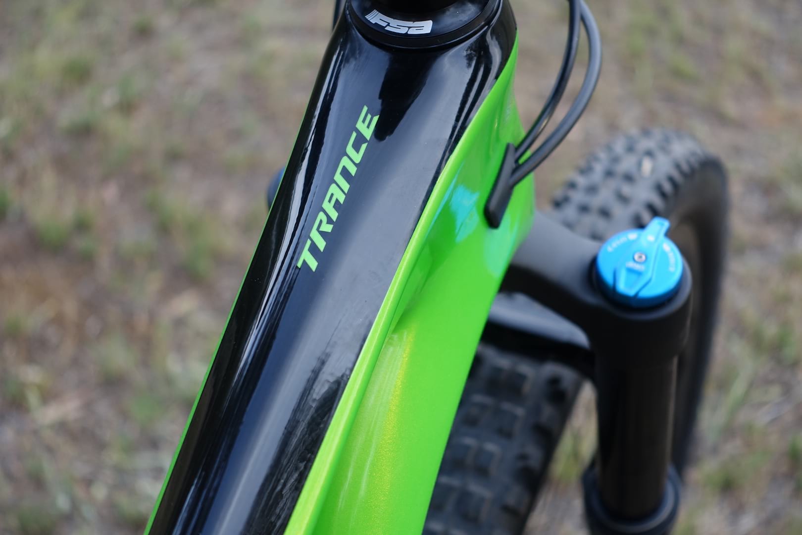 giant trance 29