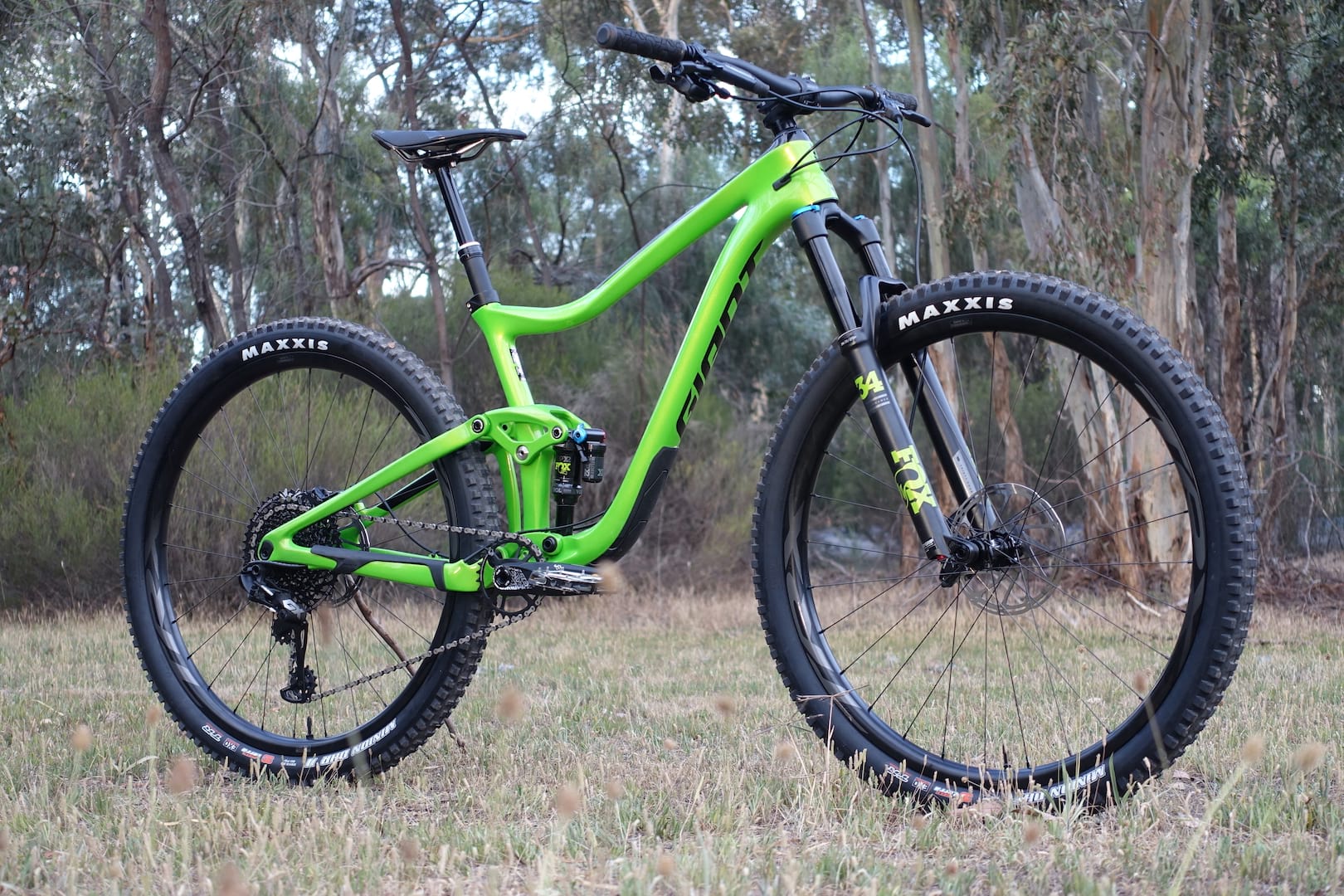giant trance 29