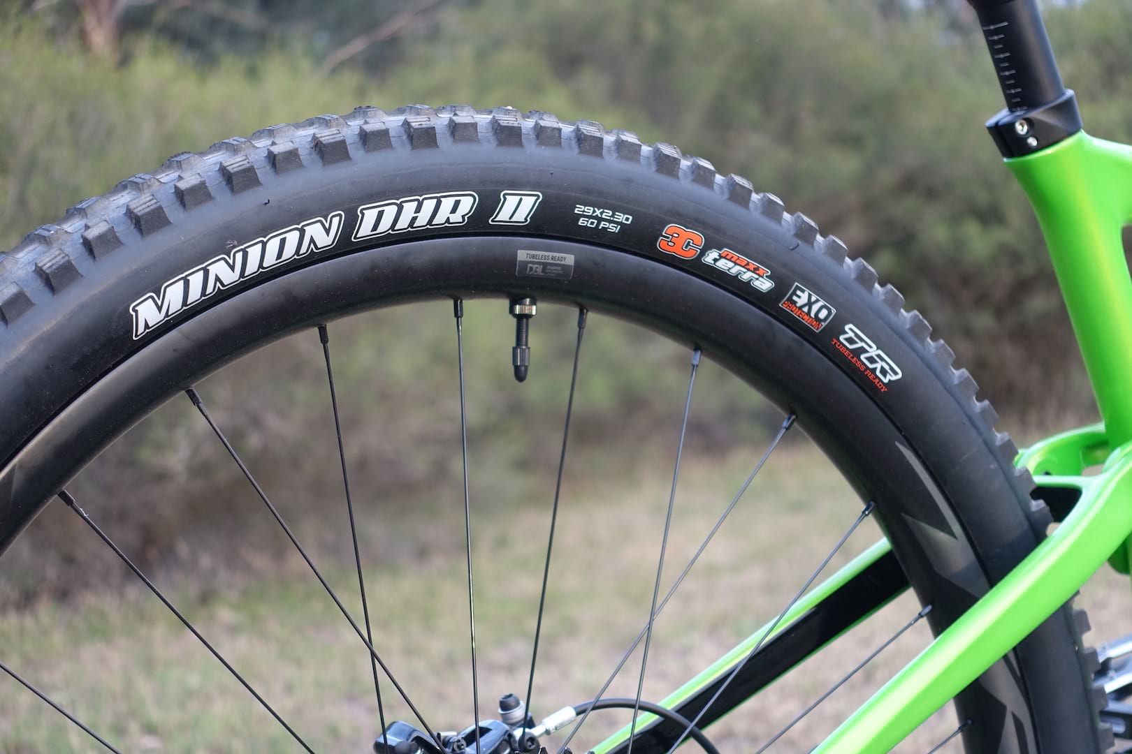 giant trance 29 maxxis minion dhr