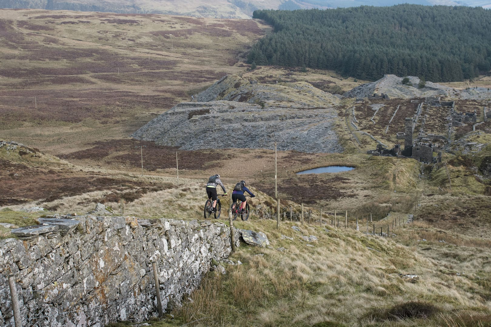 wales360