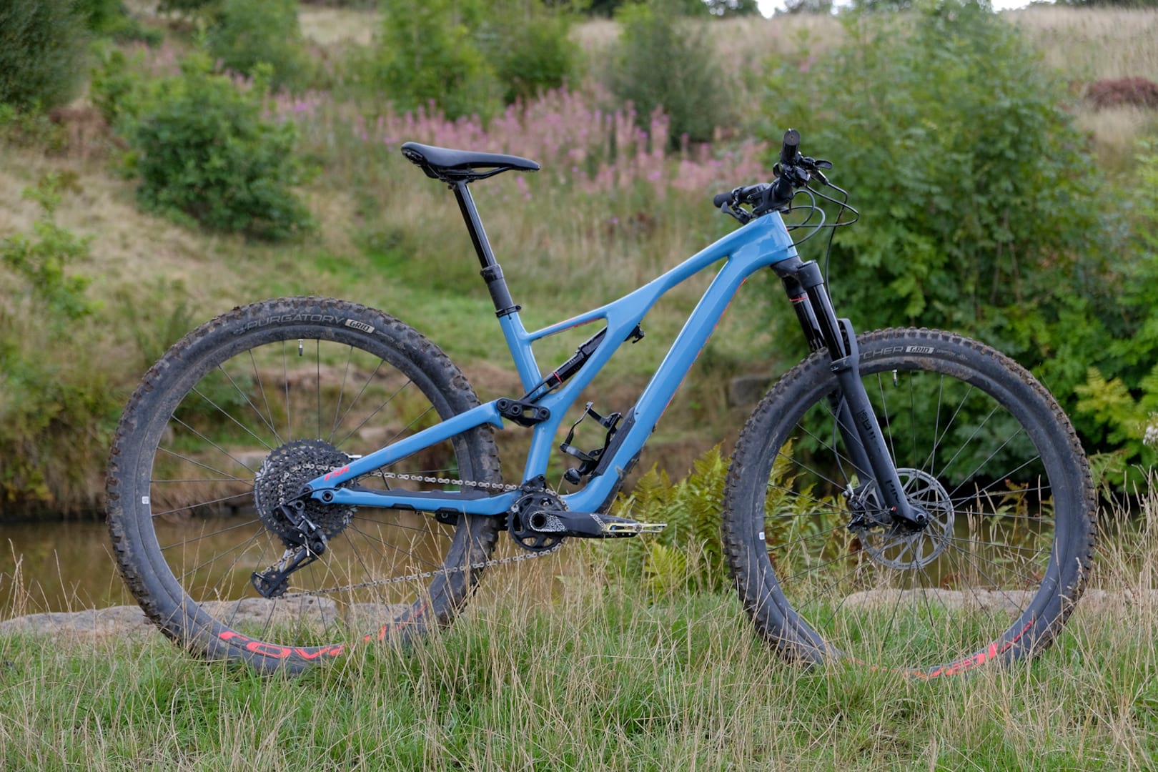 singletrack editors choice amanda