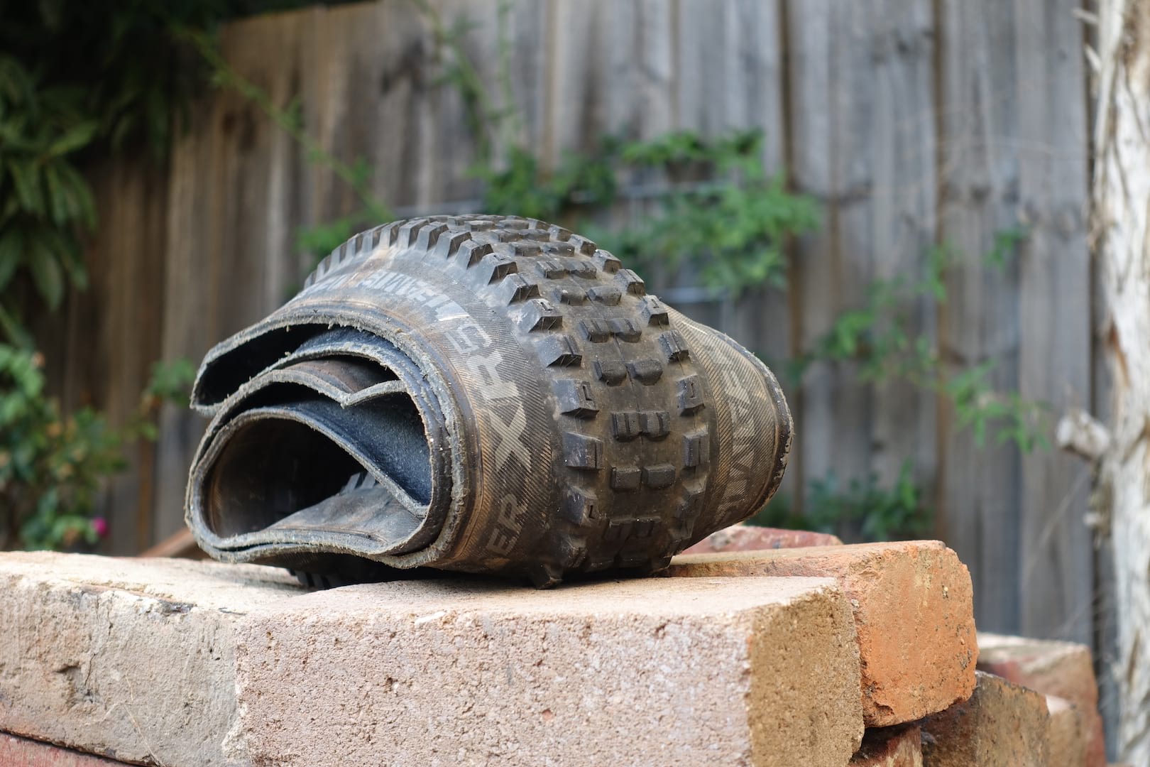 bontrager xr5 team issue tyre