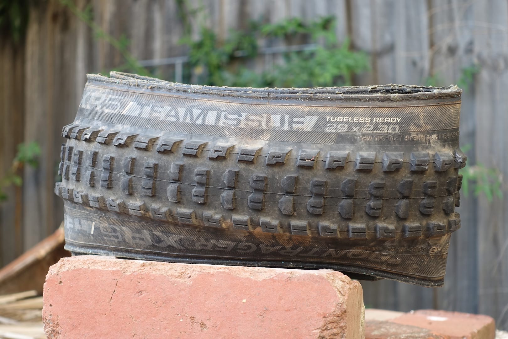 Review: Bontrager’s XR5 Team Issue might just be the ideal aggro trail tyre