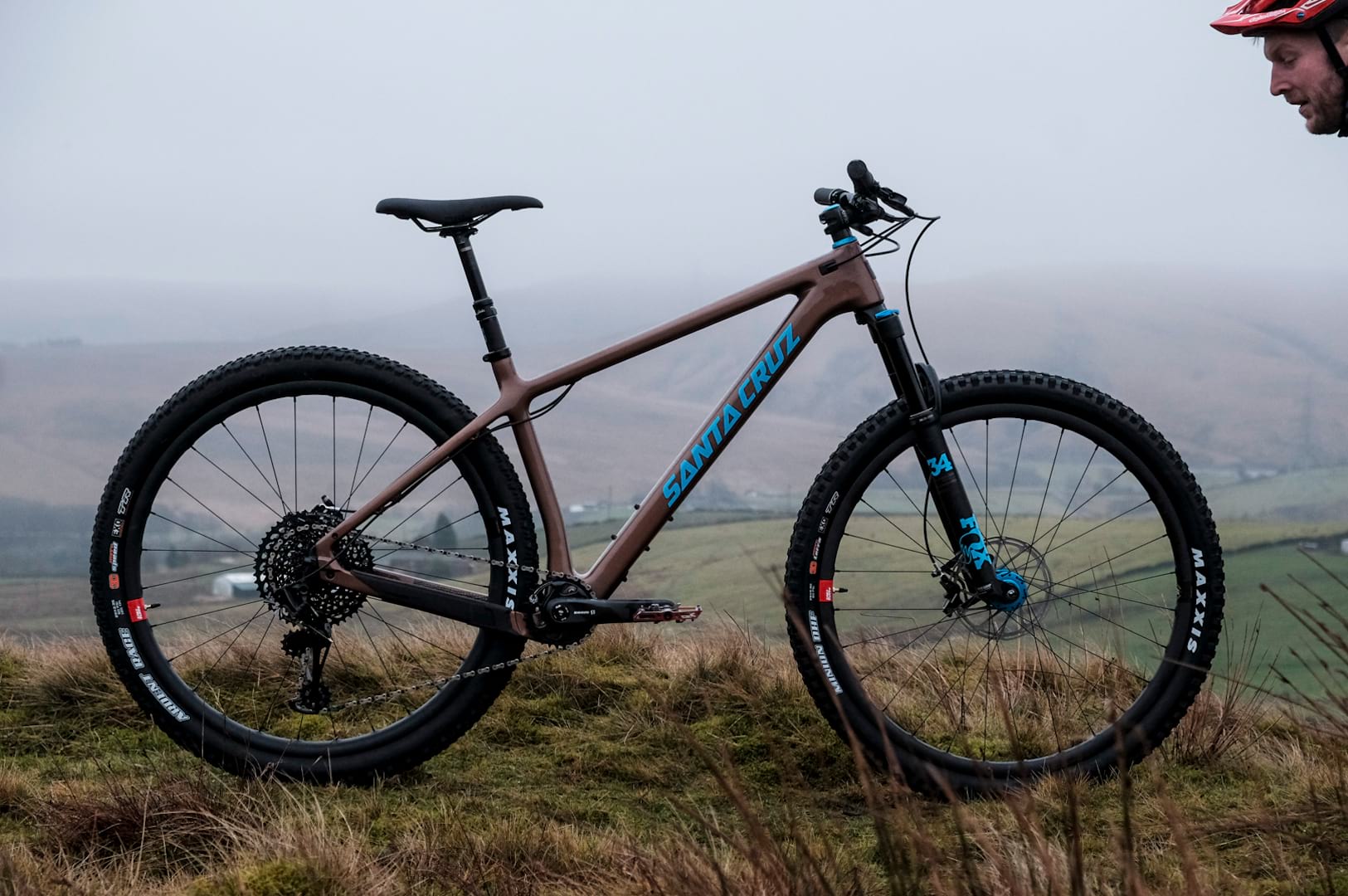 santa cruz chameleon