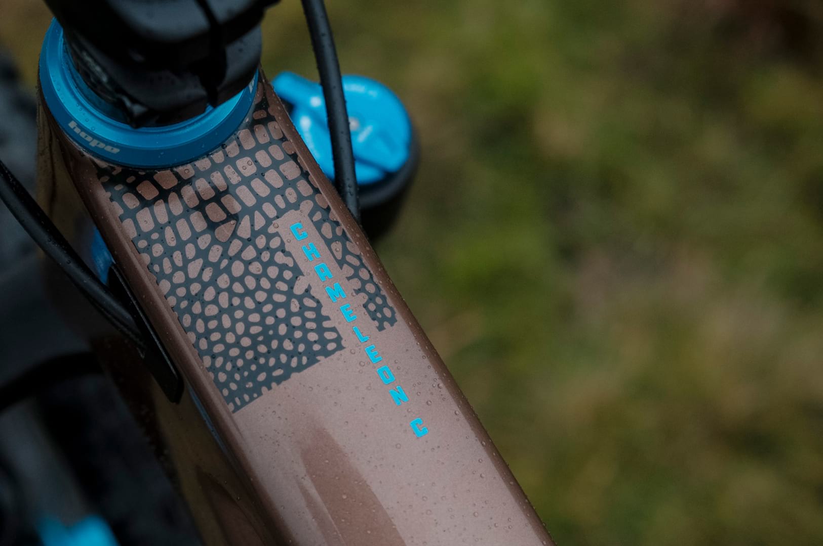 santa cruz chameleon carbon hardtail hope