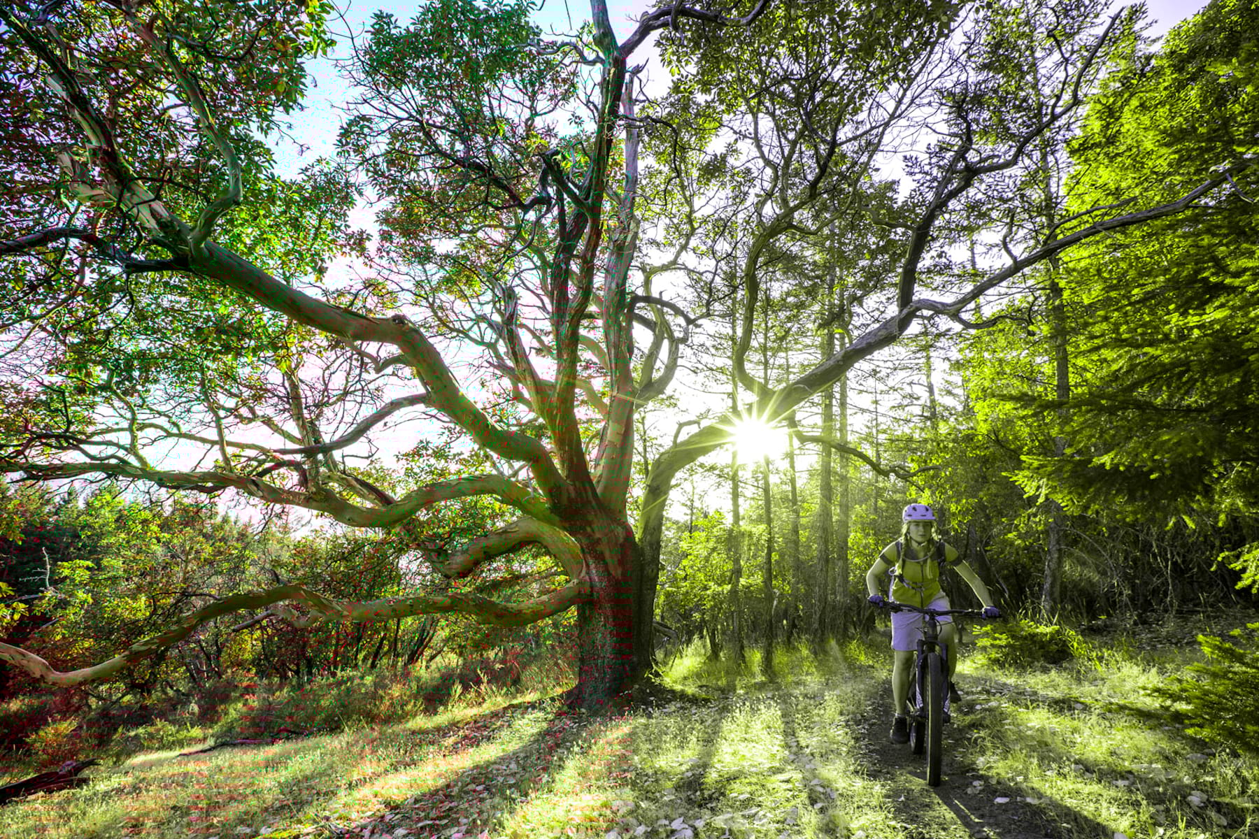 Singletrack Magazine Issue 122: Vancouver’s Treasure Islands