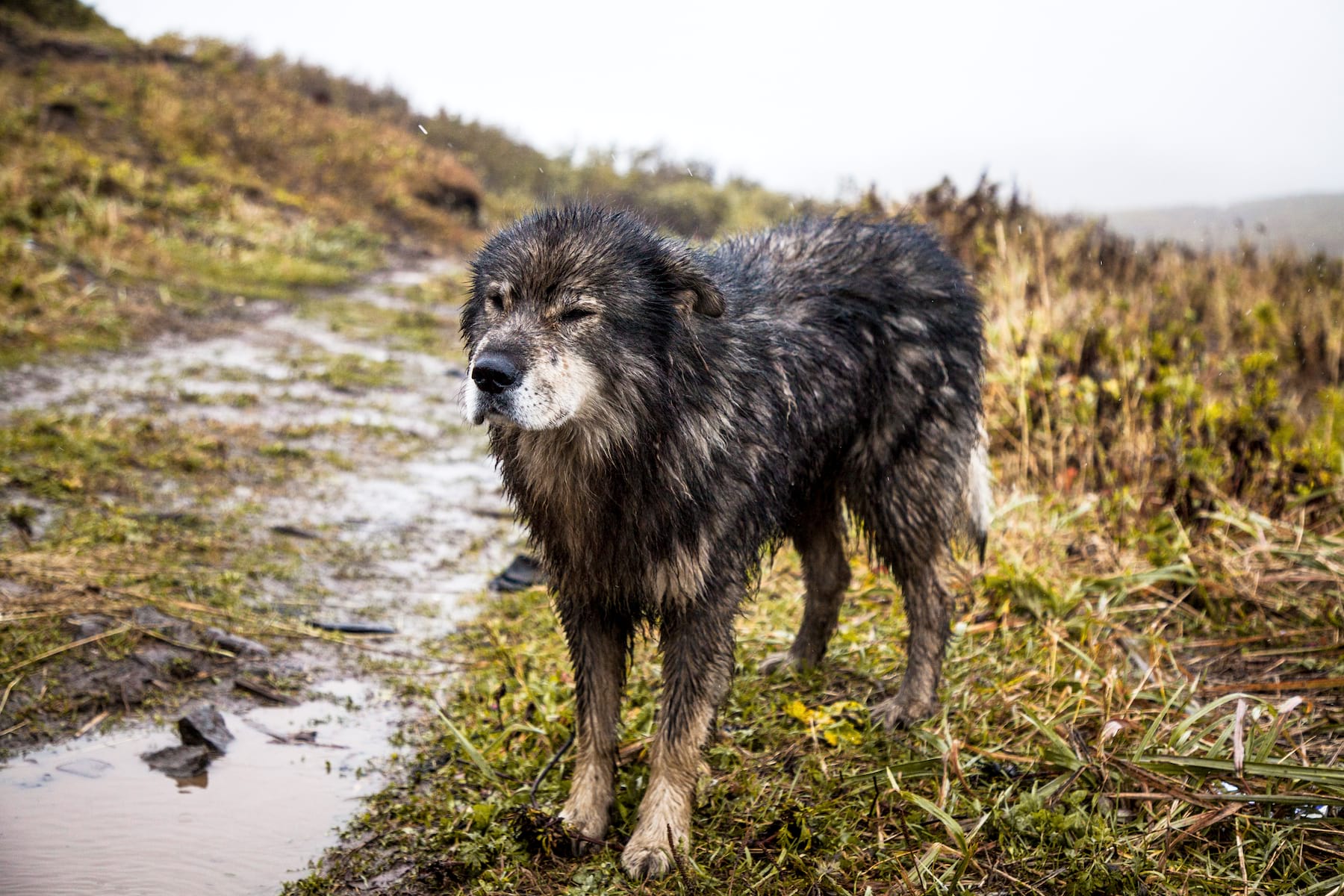 Singletrack Magazine Issue 118: Soviet Singletrack
