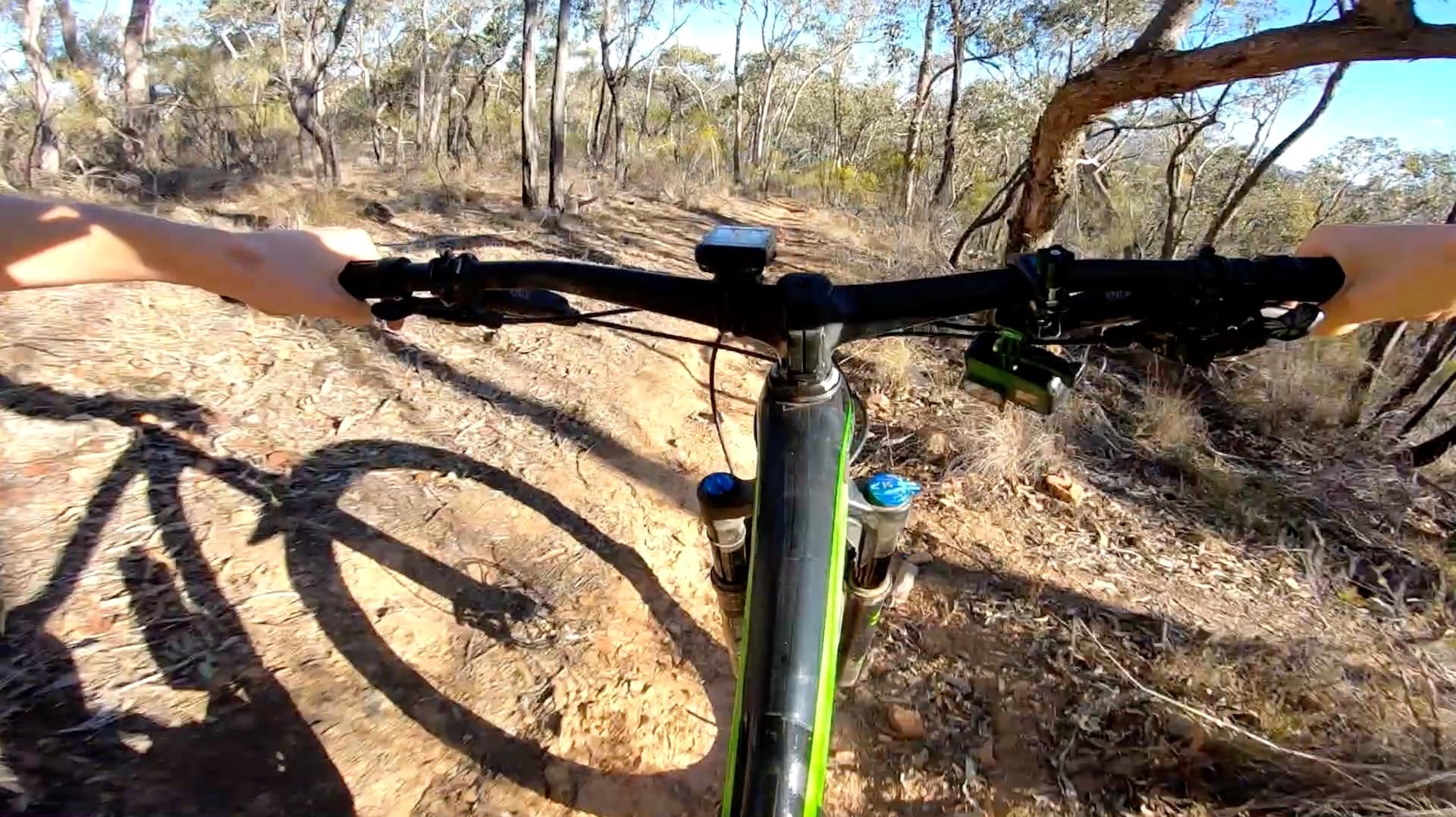 giant trance 29er