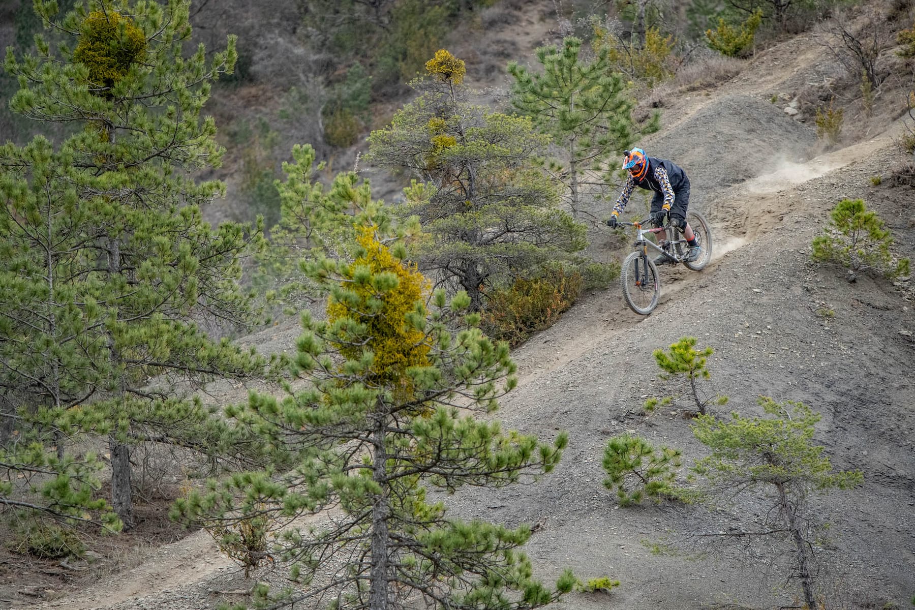 Hutchinson Griffus Tyre George Thompson