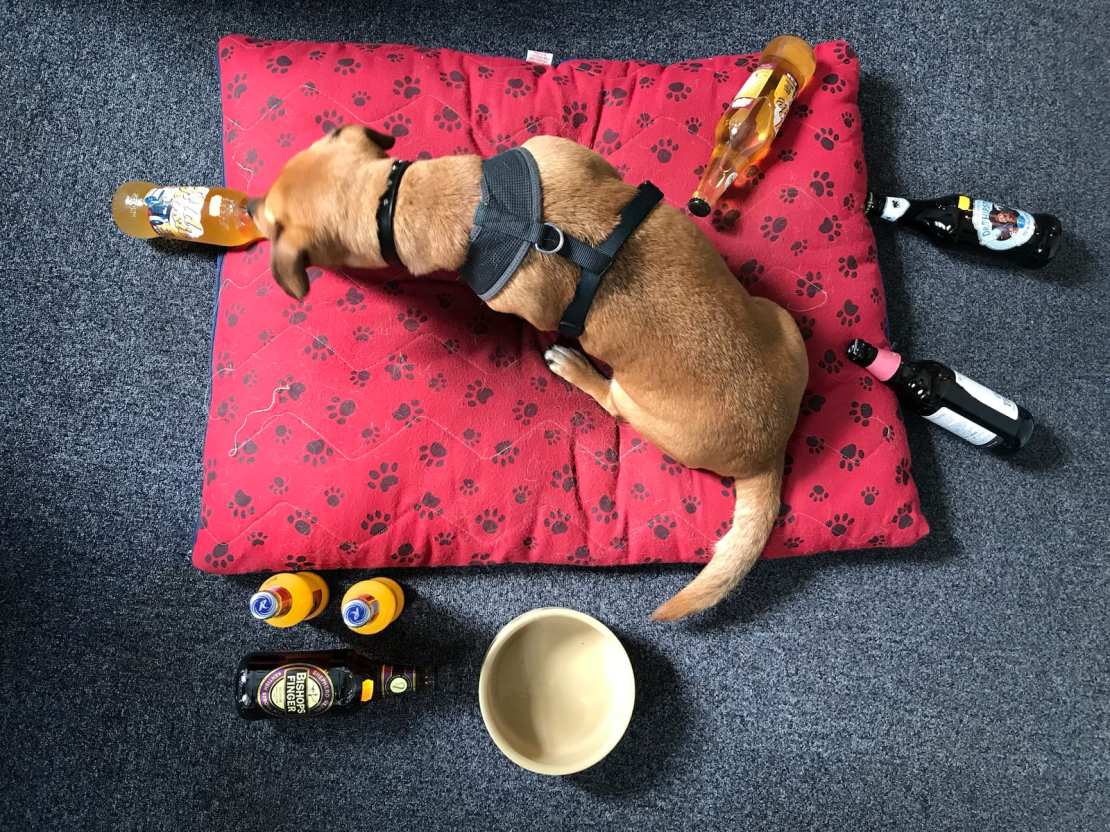 FGF 443 | Alcopops, bottle cages & body armour – the perfect Fresh Goods Friday combo!