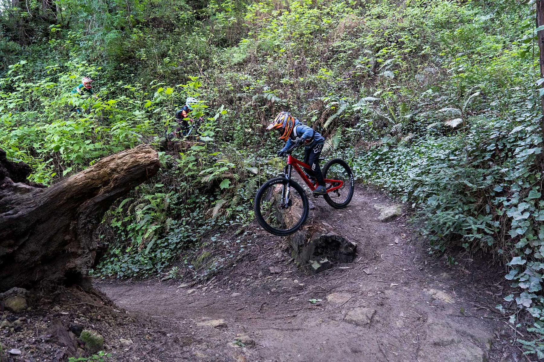 Hayes JUNIT Offers Performance Mountain Bike Components For Kids