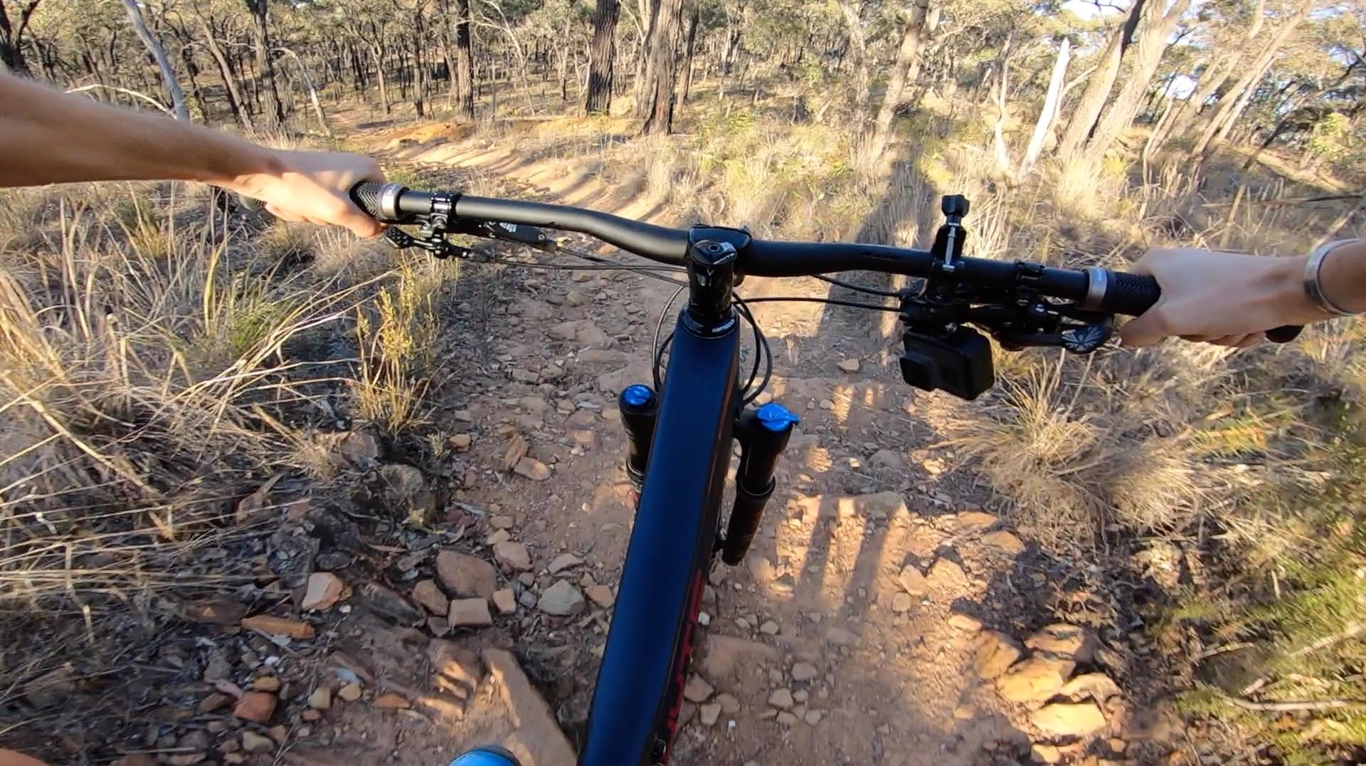 On Board | Testing The Raucous 2019 Whyte S-120 C RS