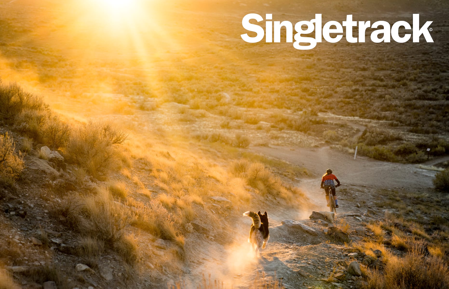 Singletrack Magazine Issue 124 : Editorial