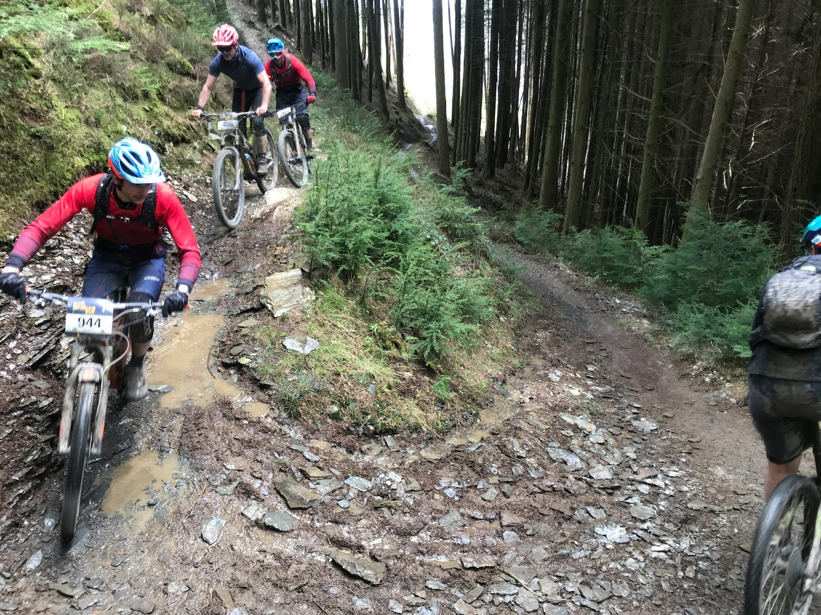 dyfi enduro climachx trail