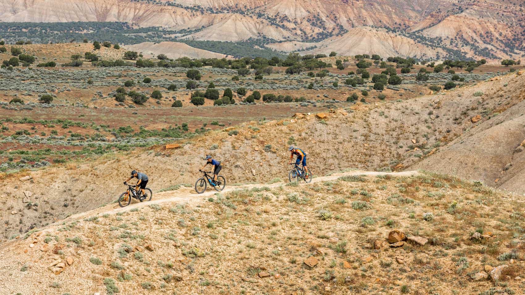 fruita colorado