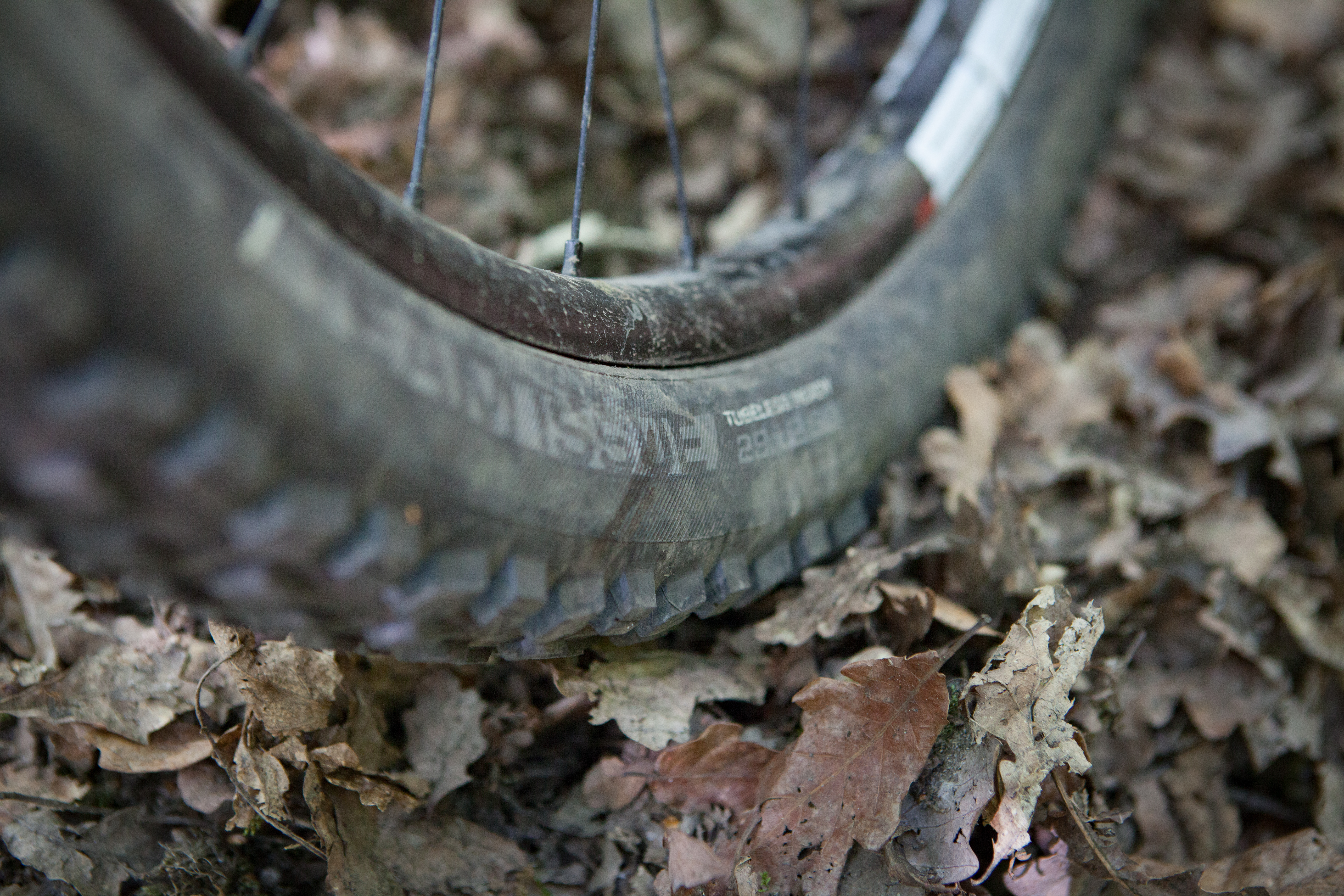 stans no tubes sentry mk3 wheels bontrager xr4 29x2.6in tyre