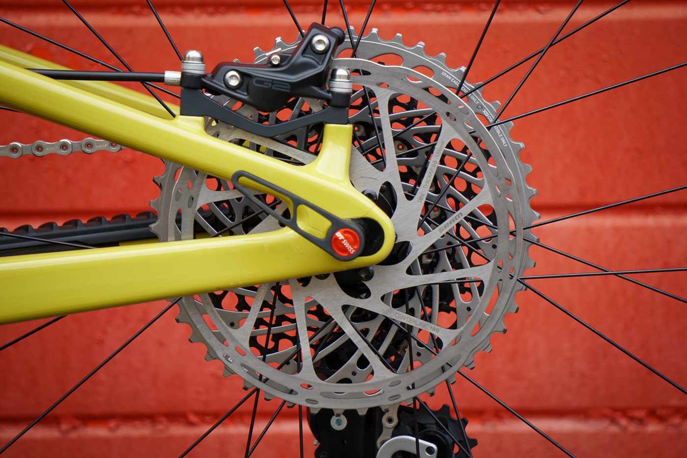 tallboy 4 first look