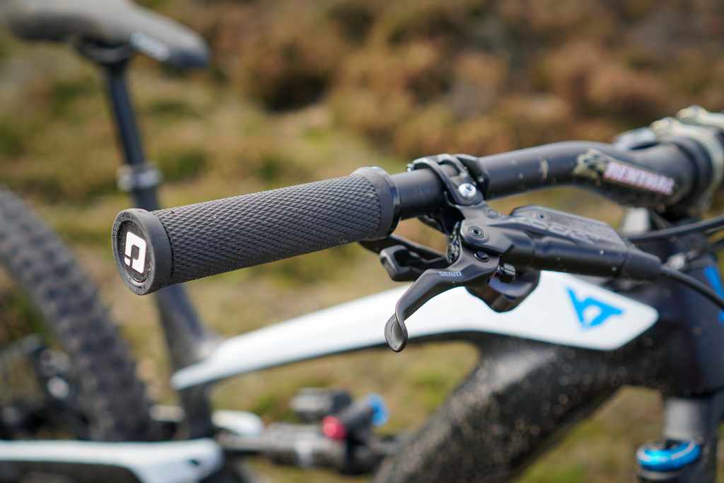 yt decoy cf pro first look