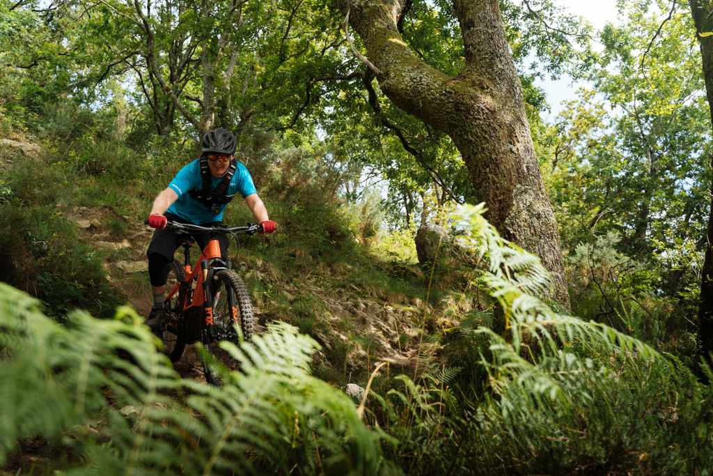 2020 Orbea Wild FS