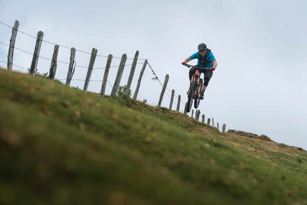 2020 Orbea Wild FS