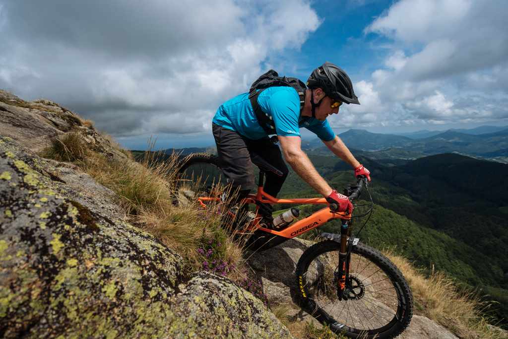 2020 Orbea Wild FS