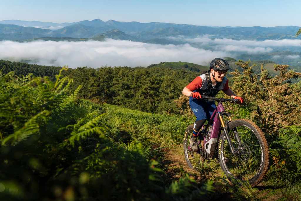 2020 Orbea Wild FS