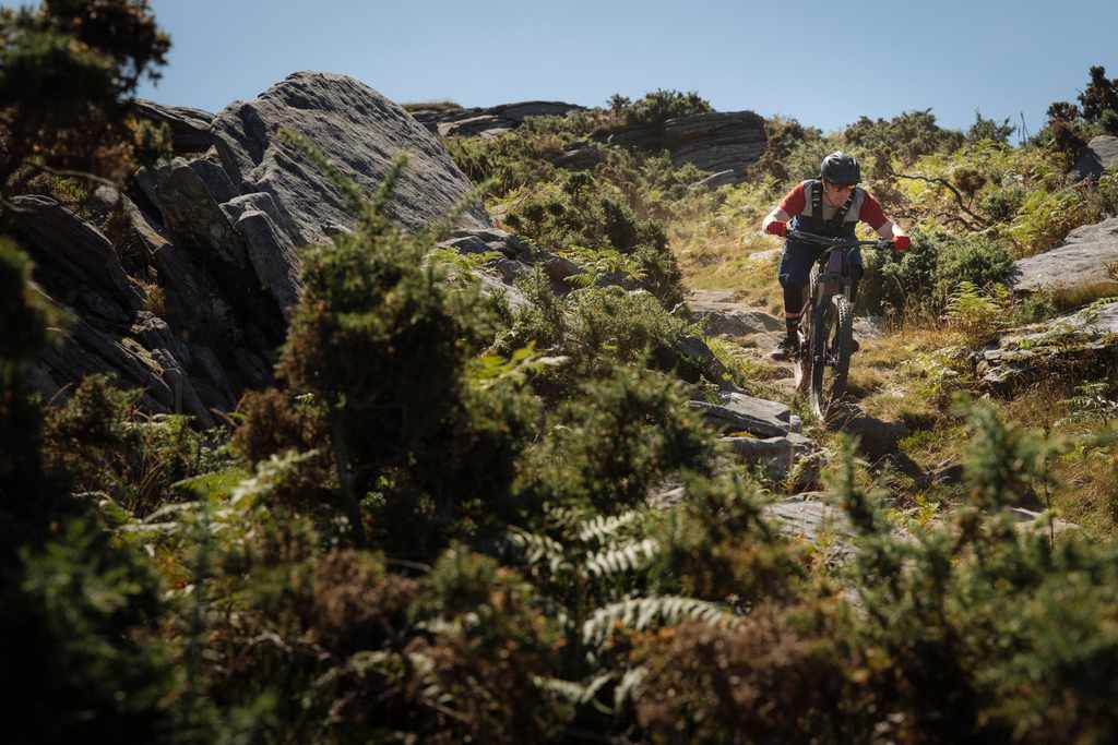 2020 Orbea Wild FS