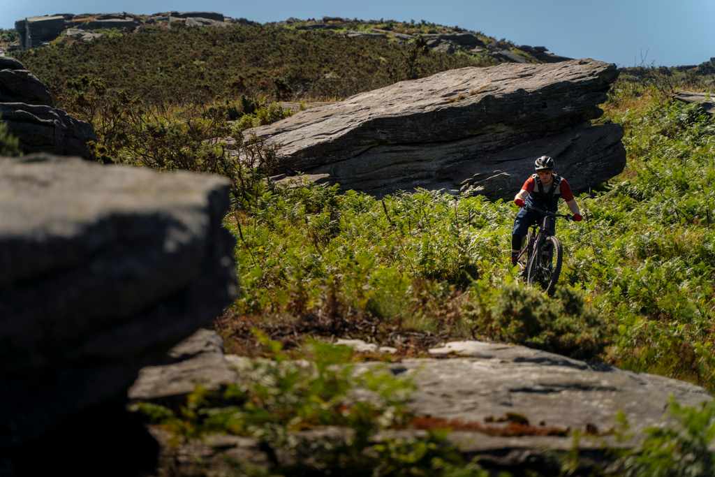 2020 Orbea Wild FS