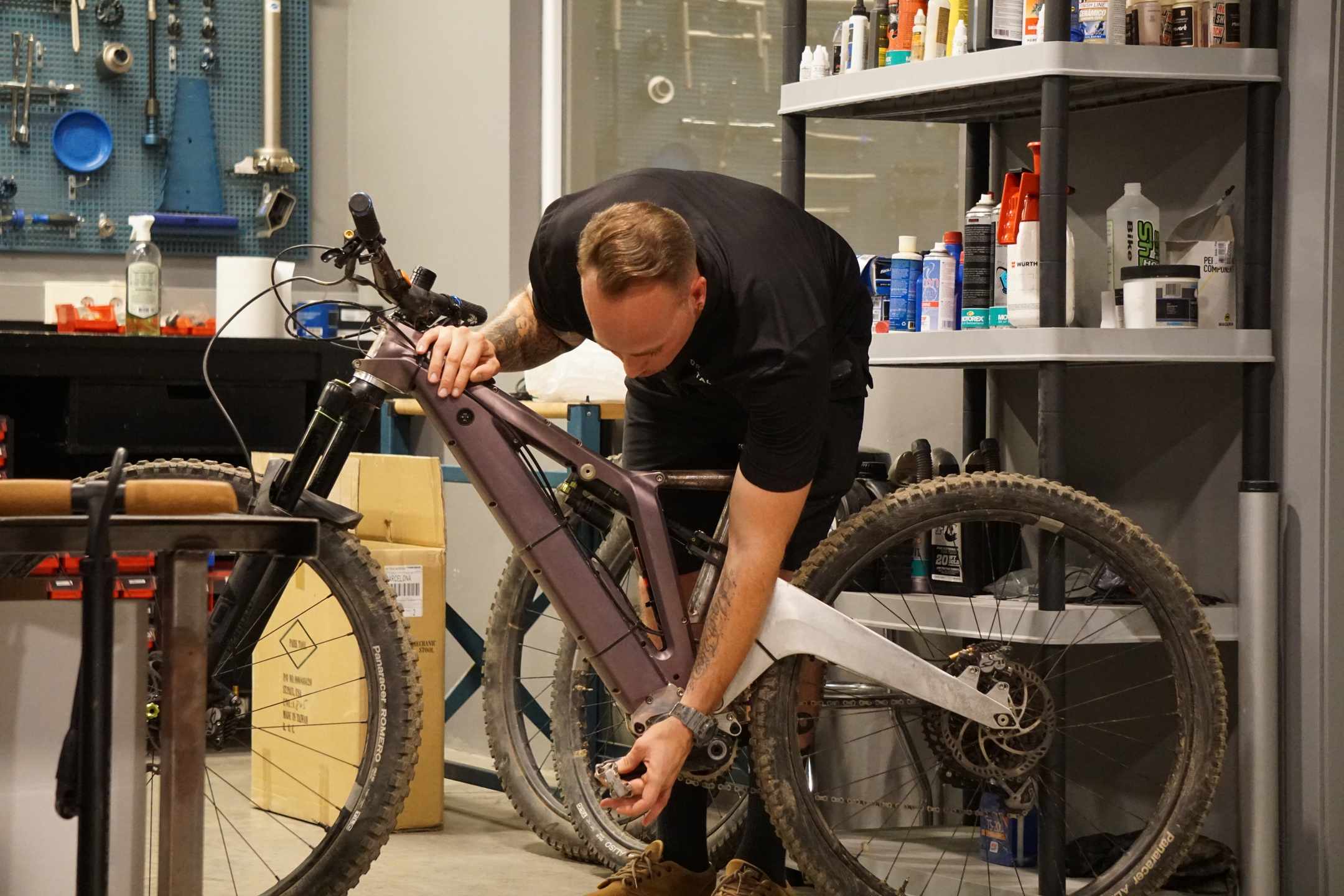 Forestal bikes