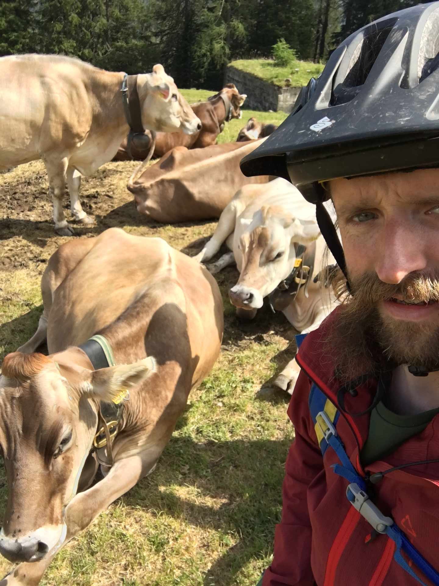 Pete Scullion Graubunden Bingo The Alps Cliches