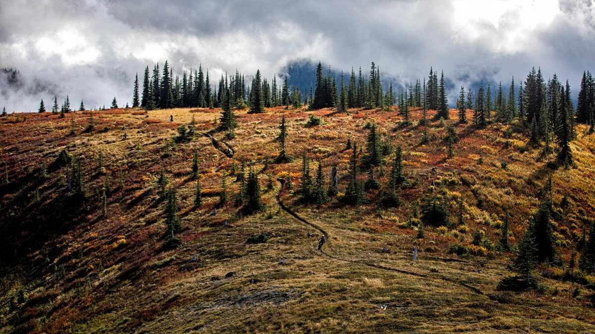 Trans-Cascadia 2019 | 4 Days Of Party Trains And Sweet Trails